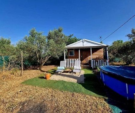 Un Chalet Dans Les Oliviers 3 Nuits Mini Νιμ Εξωτερικό φωτογραφία